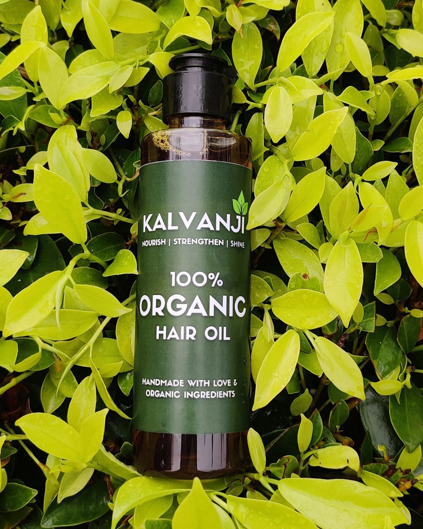 Kalvanji Hair Growth Oil | Organic, Anti Hair Fall, Dandruff-Free, for Men & Women – 120ml